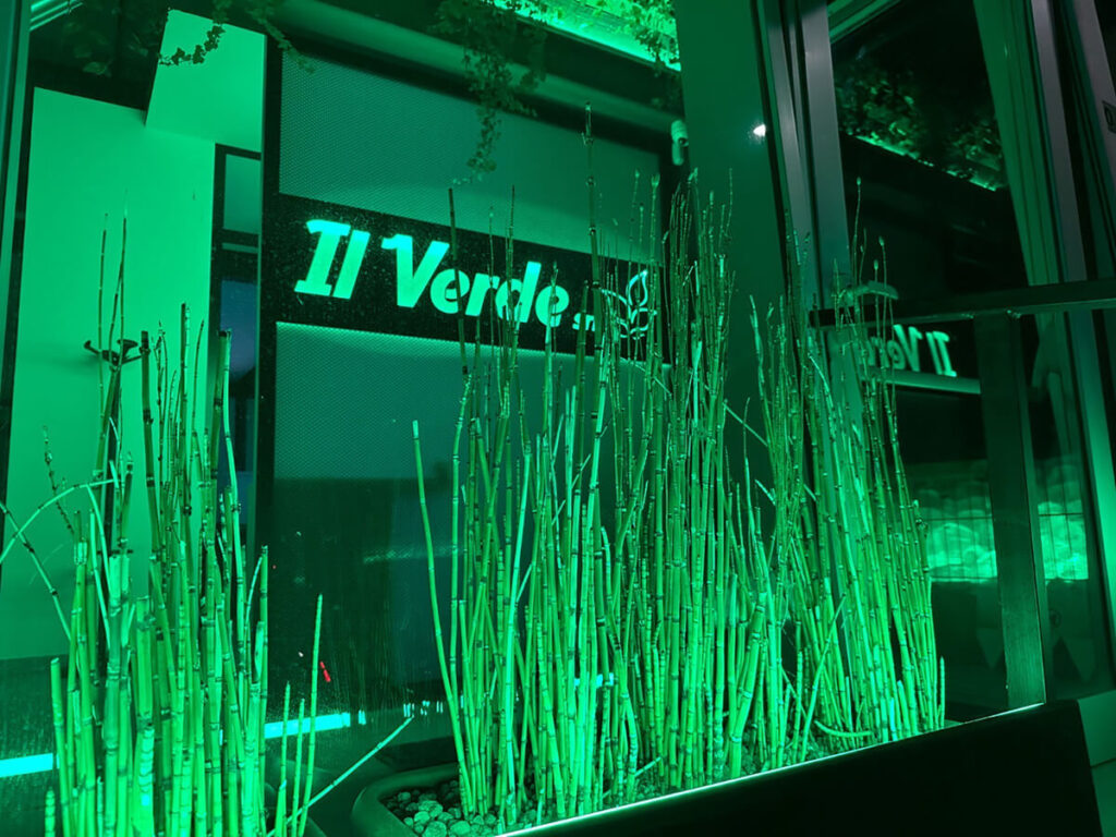 Il_Verde_di_sera_02